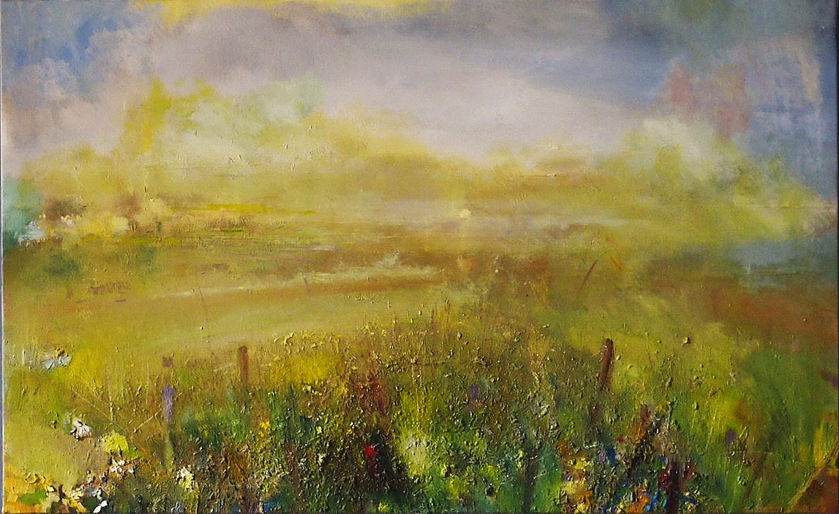 'Field with Flooded Meadow, Argyll' by artist John Gerard Anusas